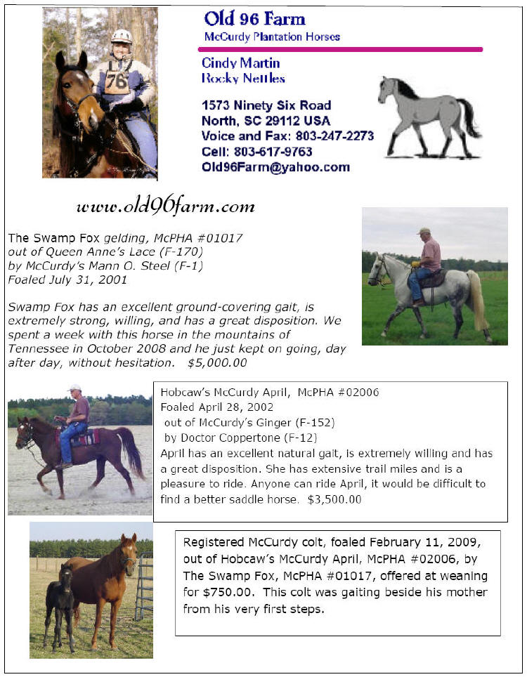 Old 96 Farm, McCurdy Plantation Horses