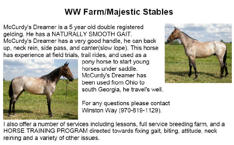 WW Farm/Majestic Stables, Winston Way